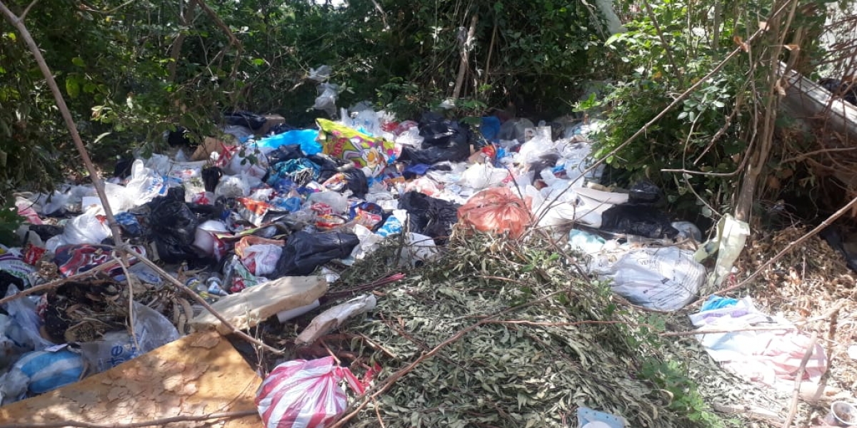 Seguimiento.co Basurero en el que se ha convertido un predio de la Quinta de San Pedro Alejandrino