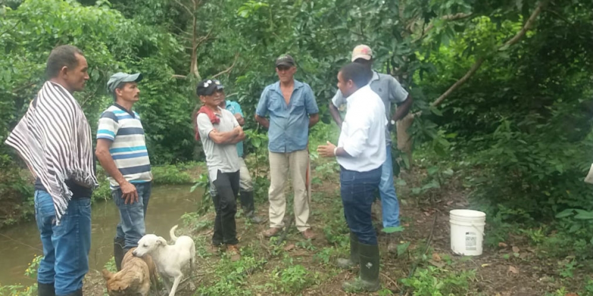 Campesinos que se unieron al proyecto de la Alcaldía.