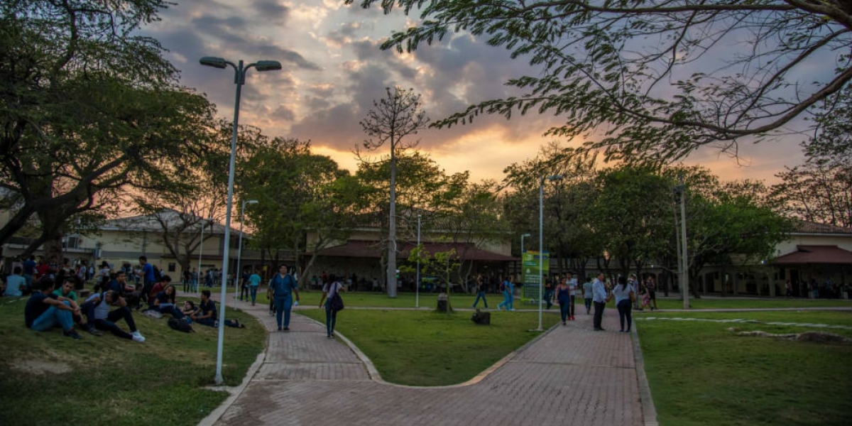 Universidad del Magdalena Universidad del Magdalena.