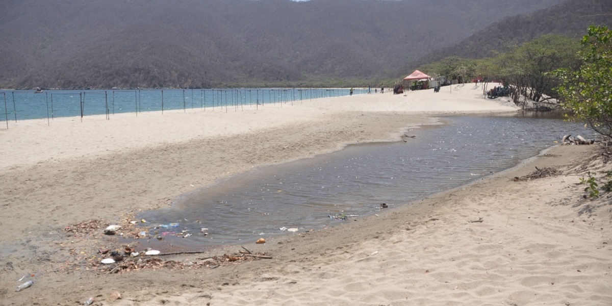En Bahía Concha se detectaron daños ambientales. 