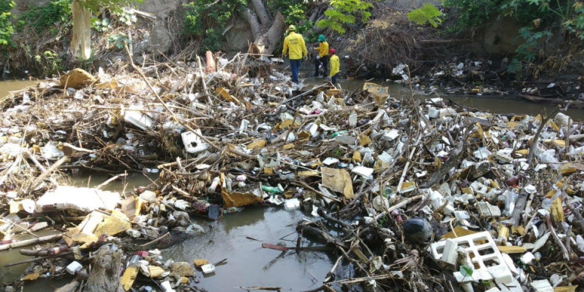 Palizada en el río Manzanares, en el sector de Villa de Alejandría.