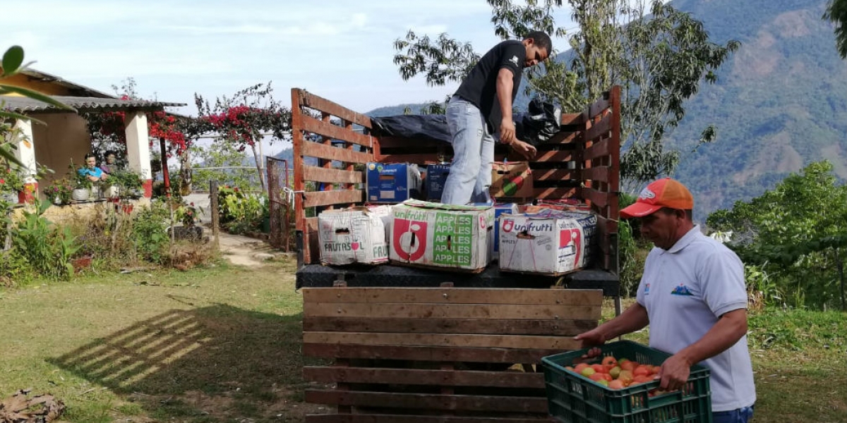 Alcaldía de Santa Marta 50 campesinos se sumaron al proyecto 'La Sierra vuelve a Sembrar'.