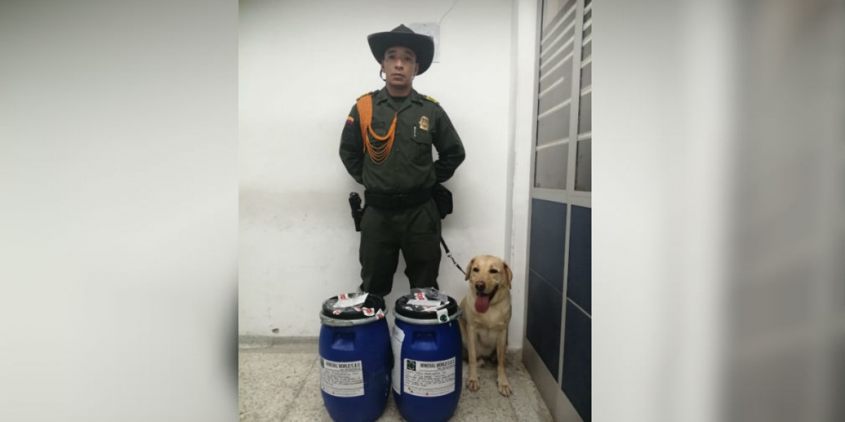 Policía Metropolitana La droga está avaluada en 248 millones de pesos.