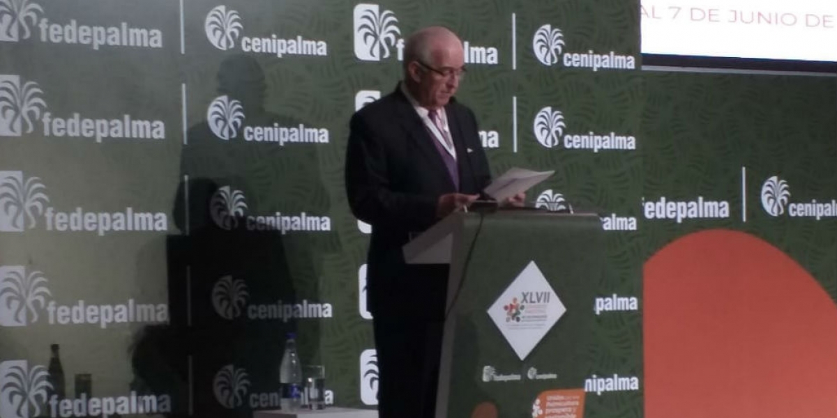Seguimiento.co Jens Mesa Dishington, presidente ejecutivo de Fedepalma.