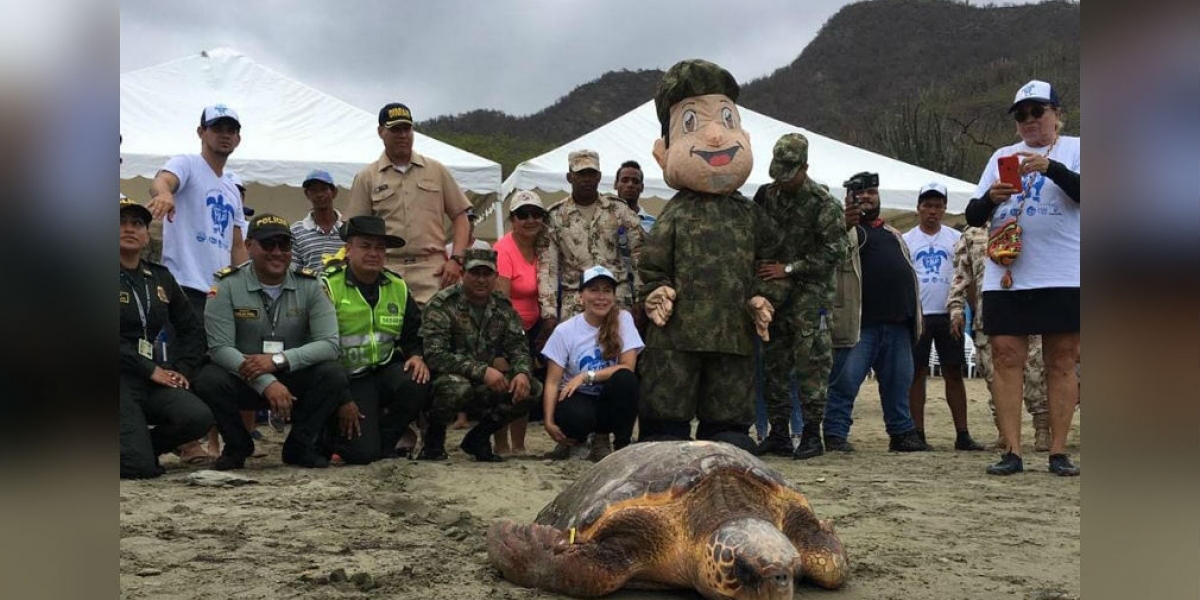 Liberación de especies marinas en playa de Inca Inca