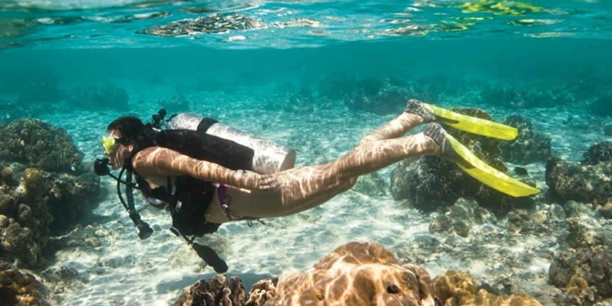 Cortesía Sumérgete como un pez en las aguas cristalinas de la samaria