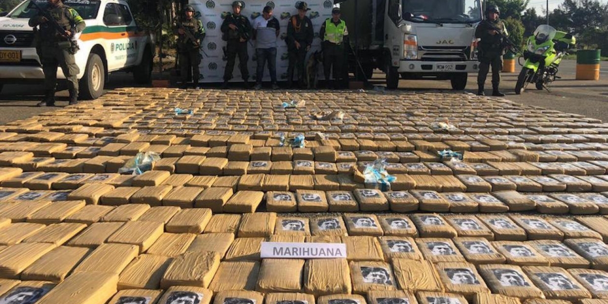 Marihuana incautada en el Cauca.