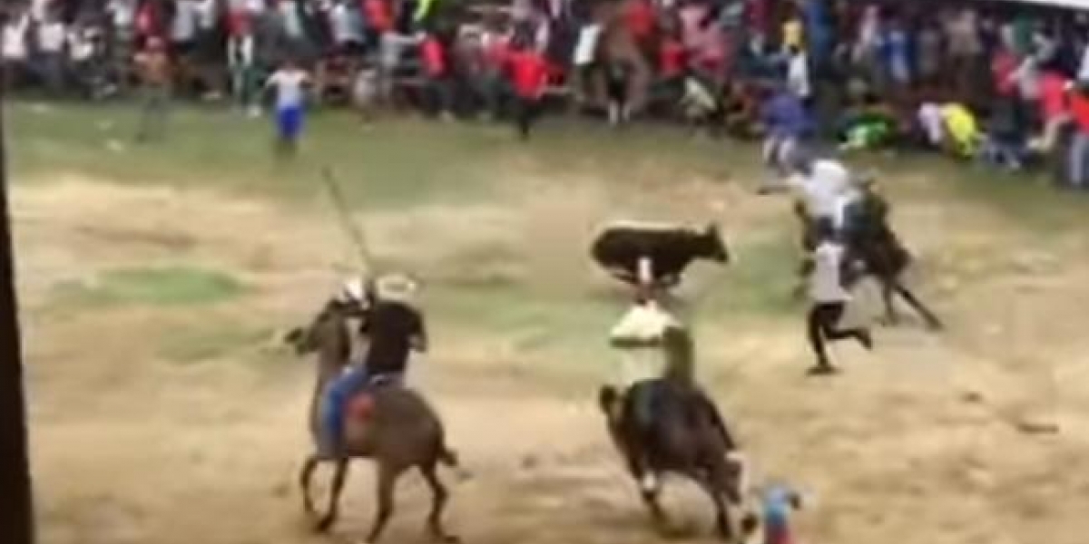 Corralejas en Usiacurí.