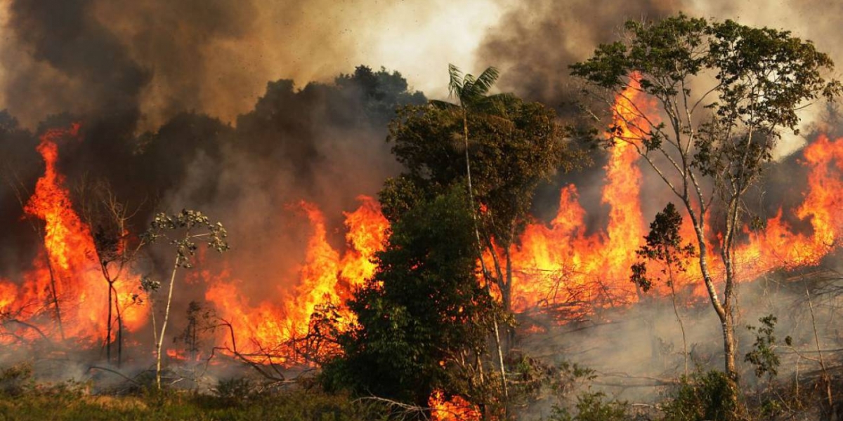 Incendios en la amazonía brasileña.