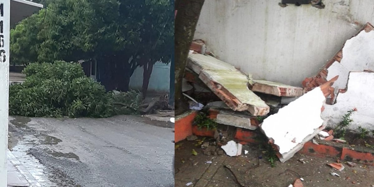  Árboles caídos y daños en la Casa de Cultura.