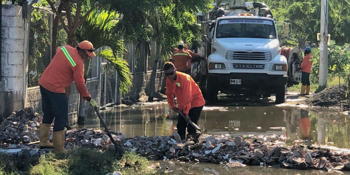 Trabajos en zuca