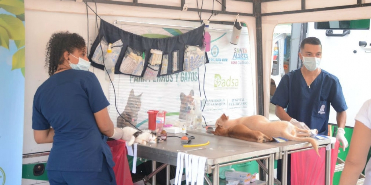 Archivo Imagen de referencia