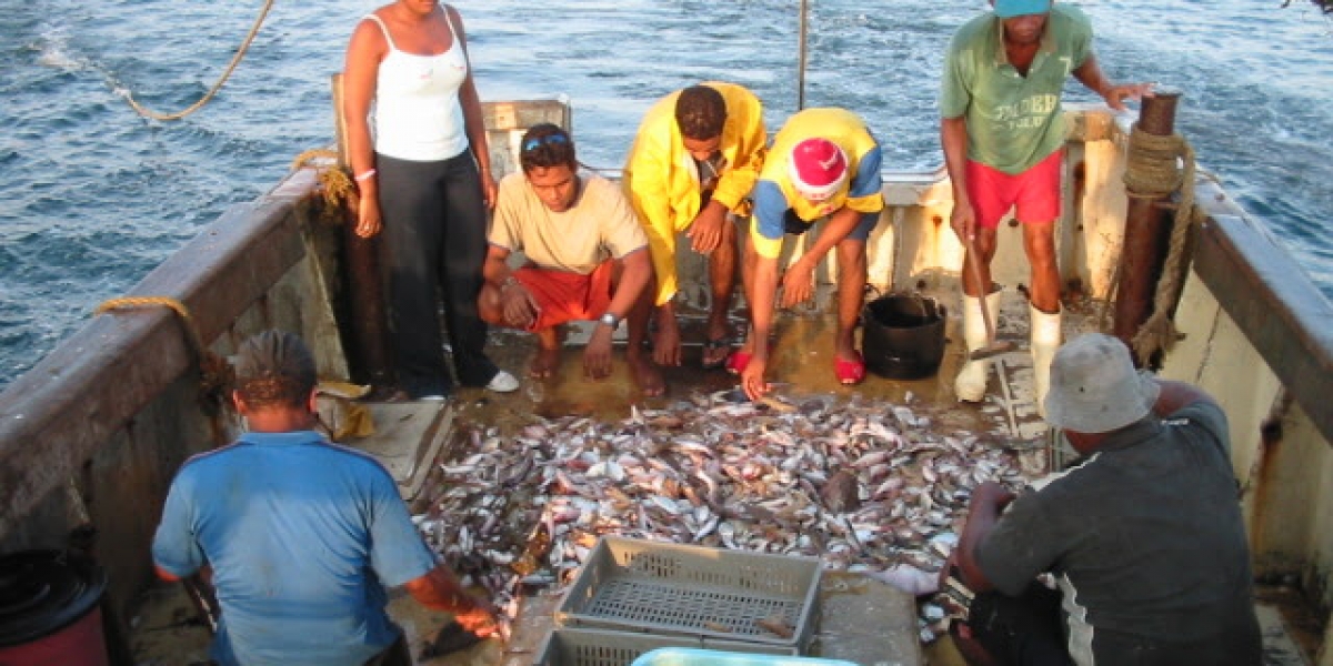 Programa de pesquería de la Universidad del Magdalena. 