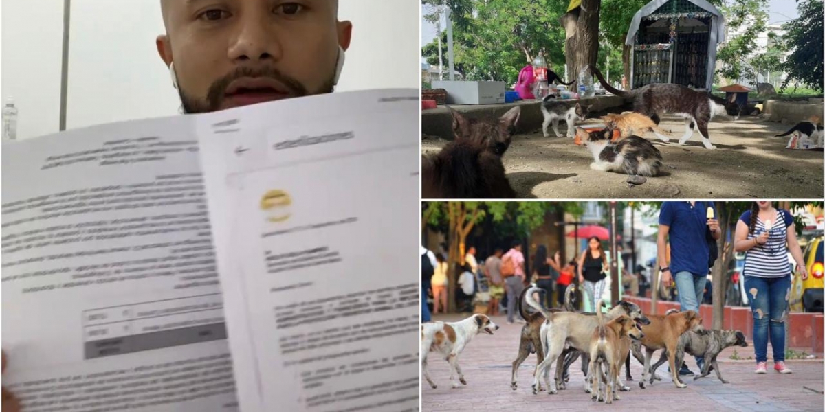 Captura video. seguimiento.co