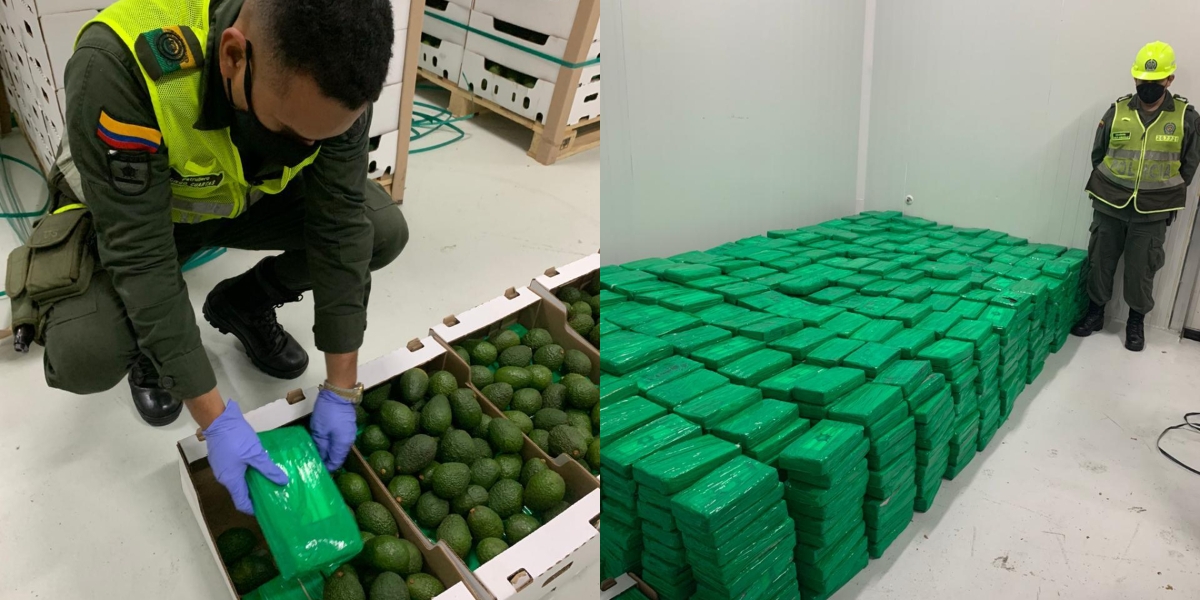 Antinarcótico En el mercado europeo el alcaloide alcanzaría un costo aproximado de 69 millones de dólares.