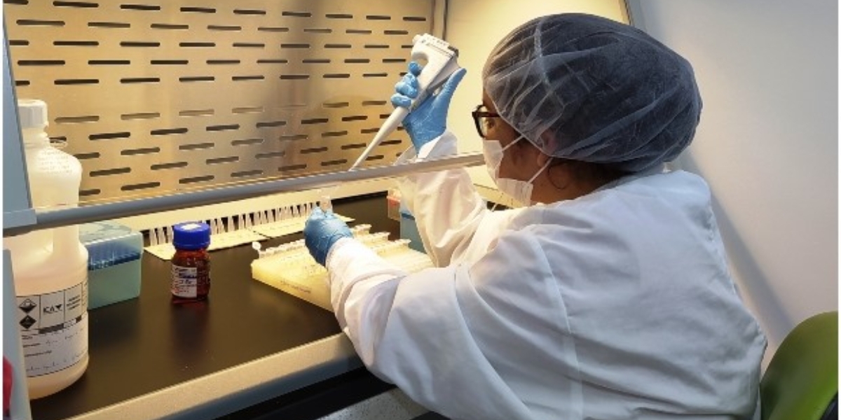 ICA El laboratorio del ICA en el Atlántico que amplió este año el servicio de detección del Fusarium Raza 4 Tropical