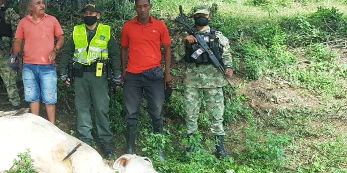 Ejército Nacional Los detenidos se disponían a sacrificar una res de manera ilegal.