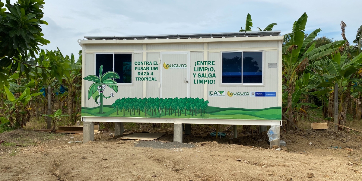 Augura La entrega oficial estuvo liderada por el presidente de Augura, Emerson Aguirre Medina, la gerente general del ICA, Deyanira Barrero, los gerentes de las comercializadoras, cooperativas y productores afiliados al Gremio en la región del Magdalena.
