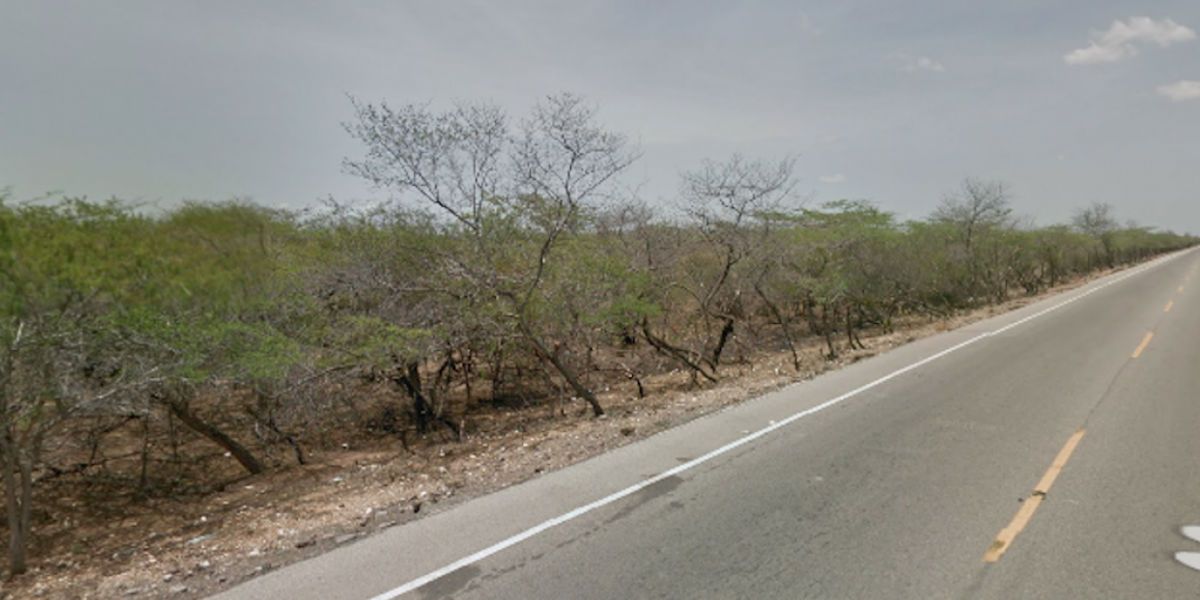 Google Maps Sector de Seura.