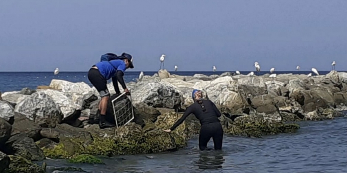 Toma de muestra de aguas en playas de Santa Marta