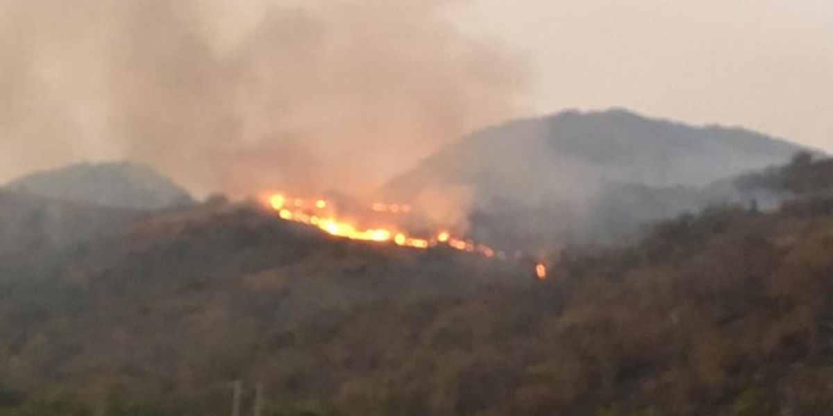 Twitter @CORPAMAG Incendio en la Sierra Nevada de Santa Marta