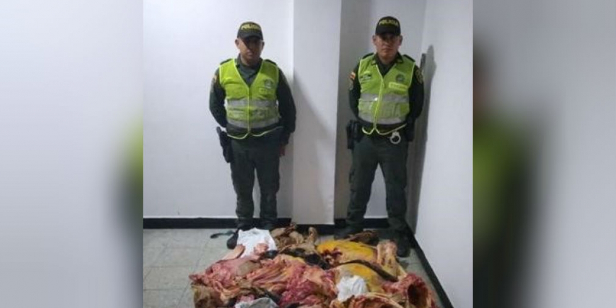 En controles de la Policía al transporte fueron decomisados 100 kilos de carne. 