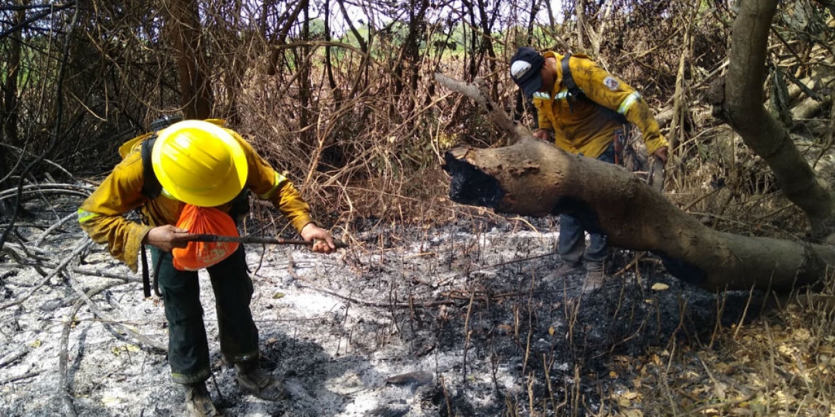 Incendio en el Vía Parque Isla de Salamanca.