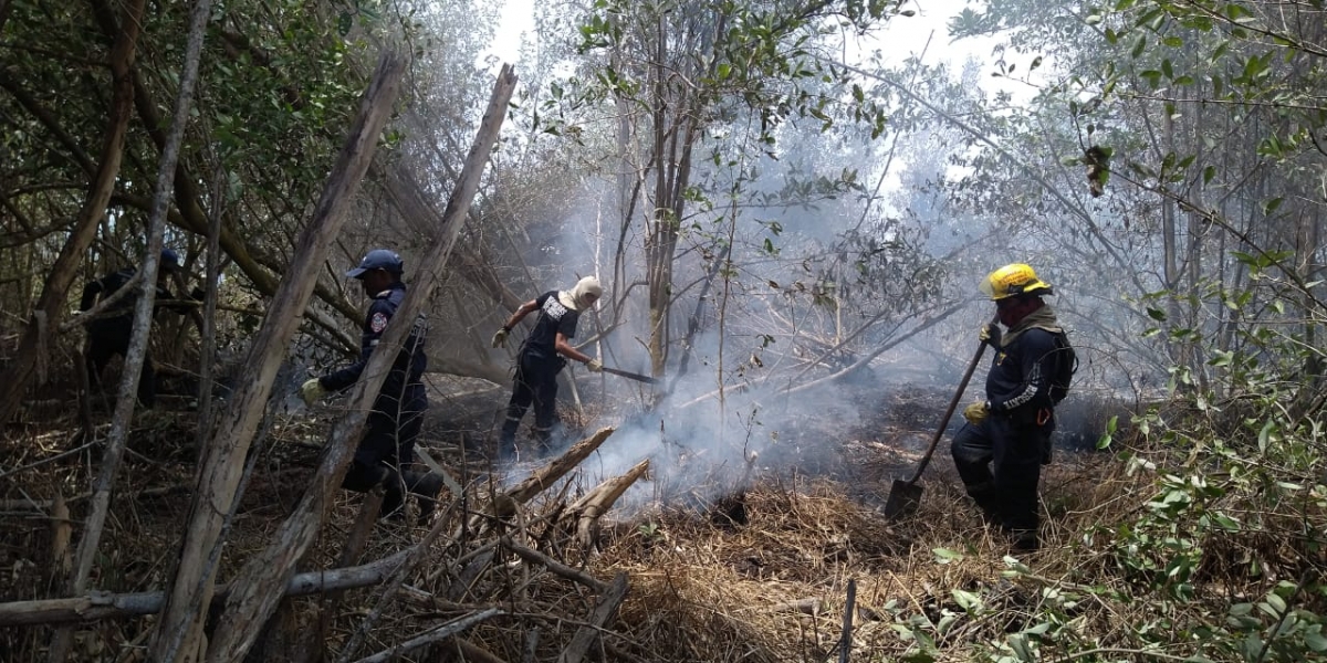 Desde la tarde del martes se presenta el incendio.