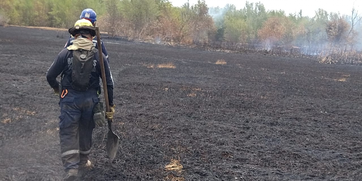 Cortesía 3o hectáreas de enea ha afectado el incendio.