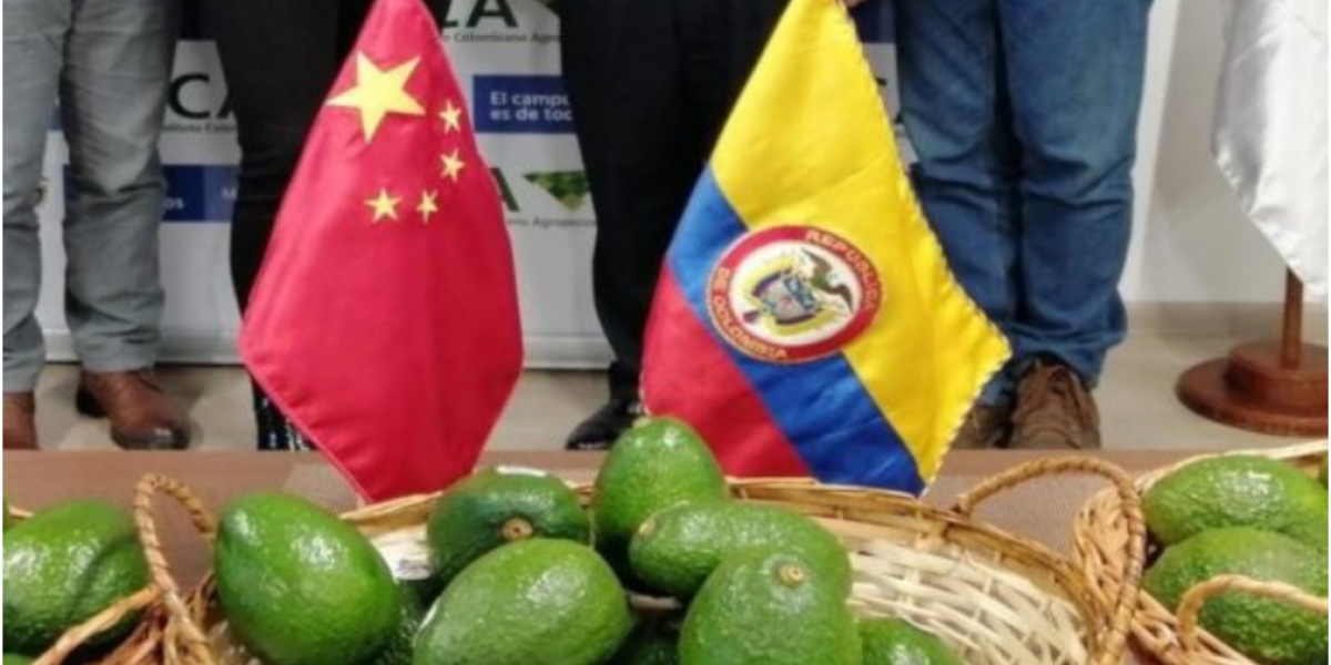 ICA El sector agropecuario además de asegurar la alimentación de los colombianos en el marco de la emergencia, mantiene una dinámica positiva en el comercio internacional y la estrategia de diplomacia sanitaria sigue dando sus frutos.