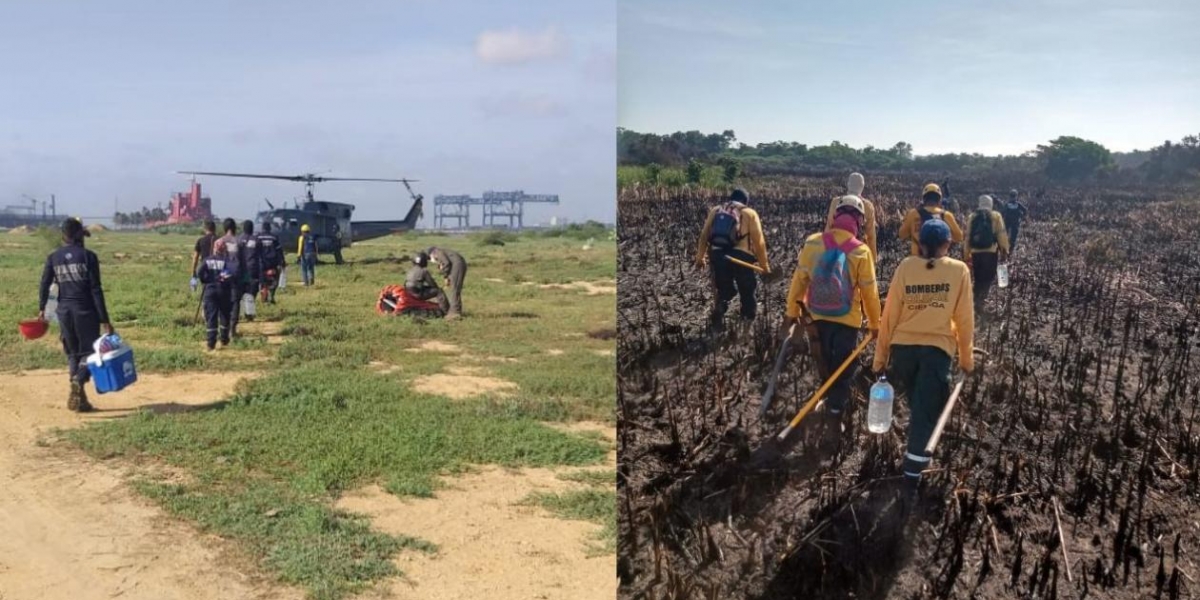 Bomberos reinician labores de control en incendio forestal en Isla Salamanca.