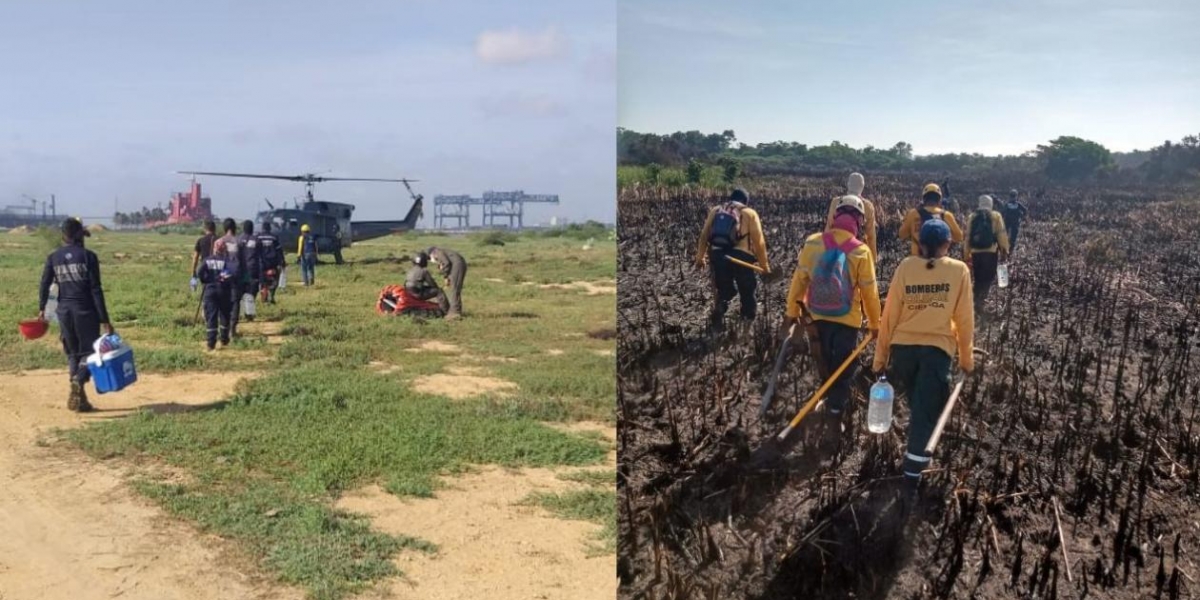 Zonacero.com Bomberos reinician labores de control en incendio forestal en Isla Salamanca.