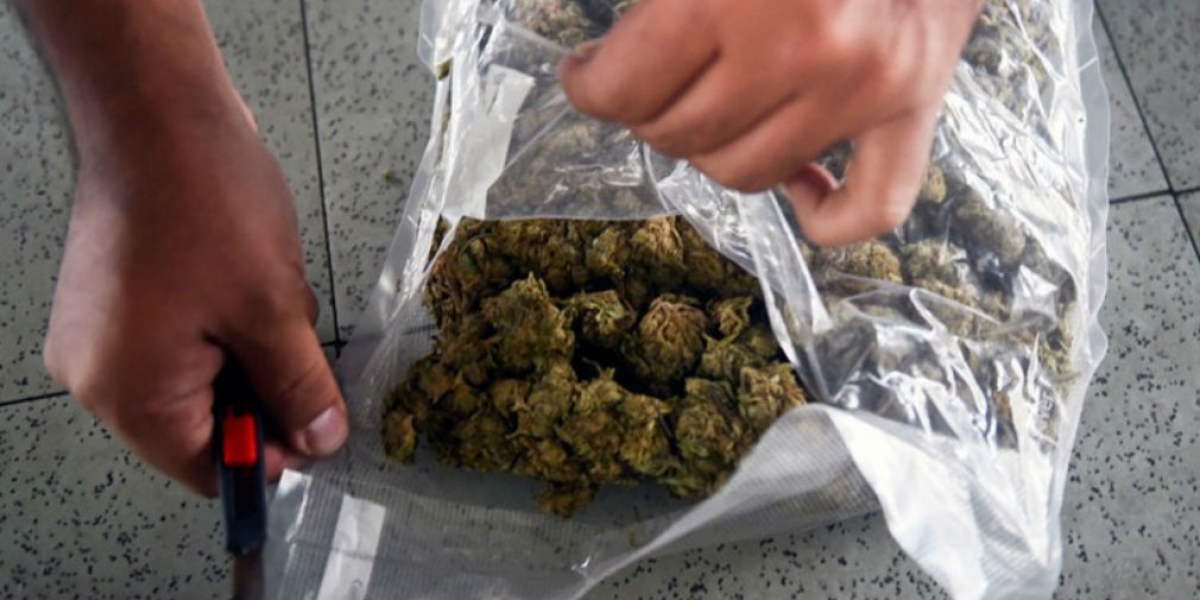 Marihuana incautada. Cortesía.