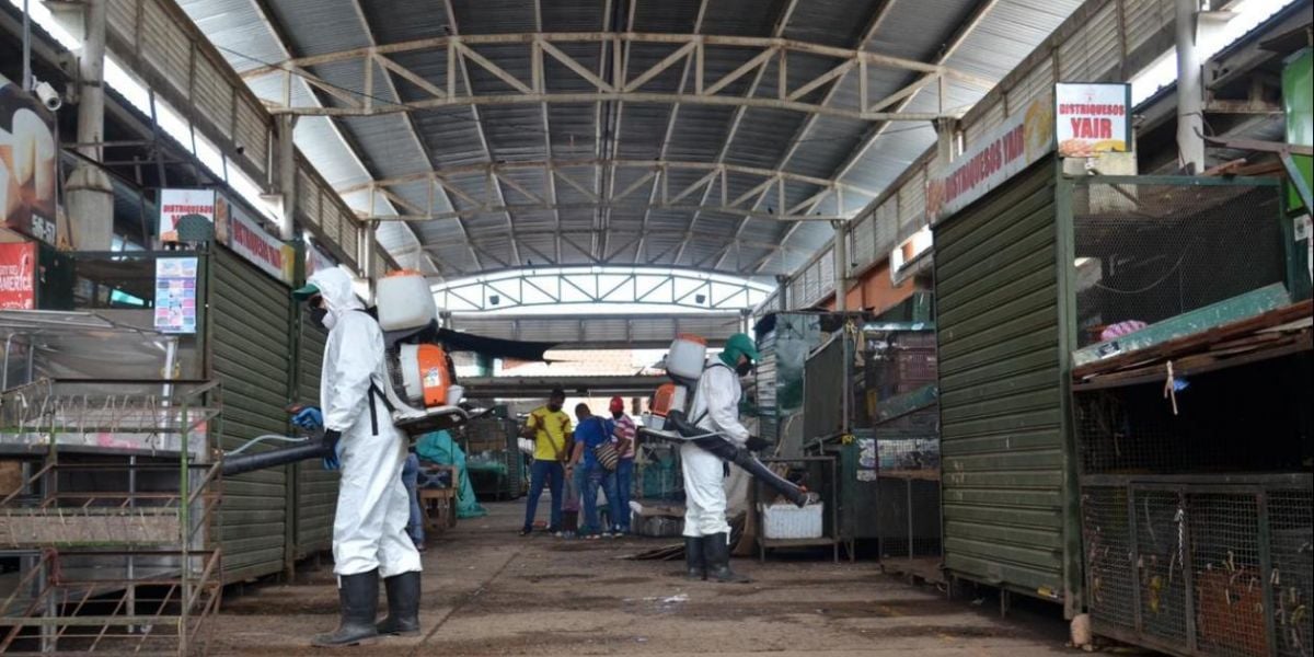 Desinfección del mercado de Valledupar.