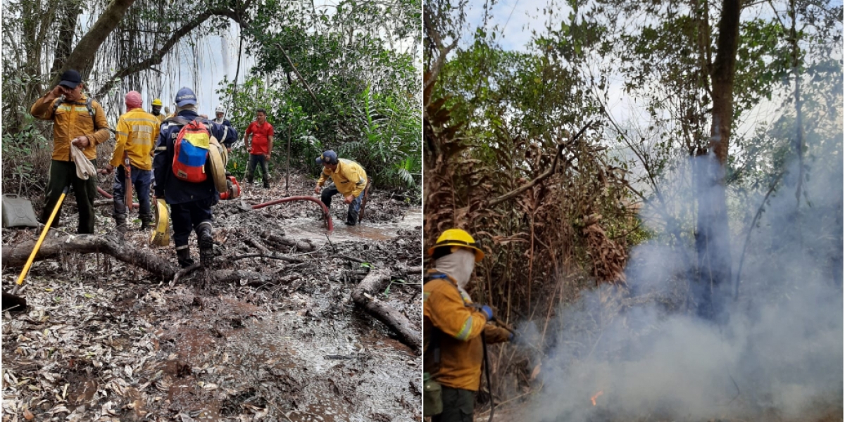 Avanzan labores para controlar incendio forestal en el Vía Parque Isla de Salamanca.