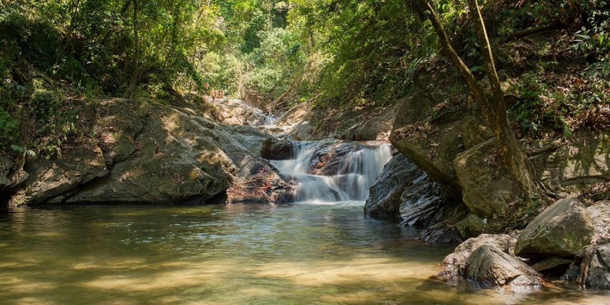 Archivo Minca se ha dado a conocer como la capital ecológica de la Sierra Nevada.