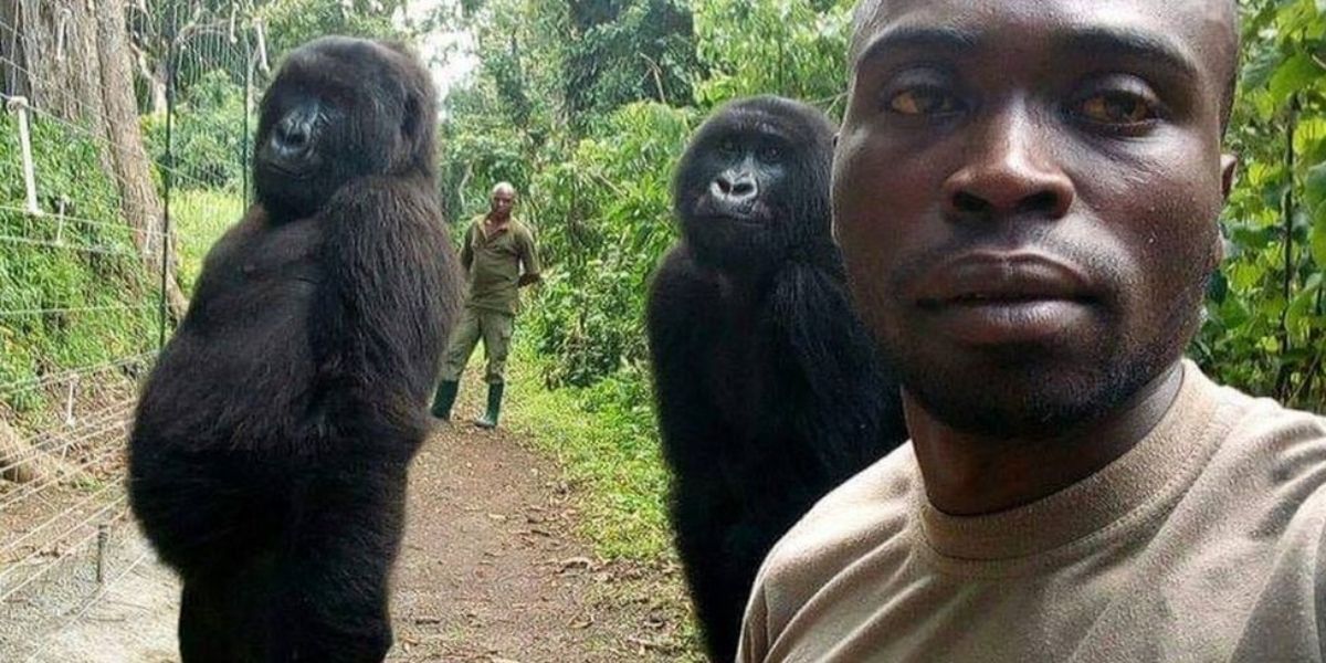 BBC Esta es la selfie tomada en el 2019.