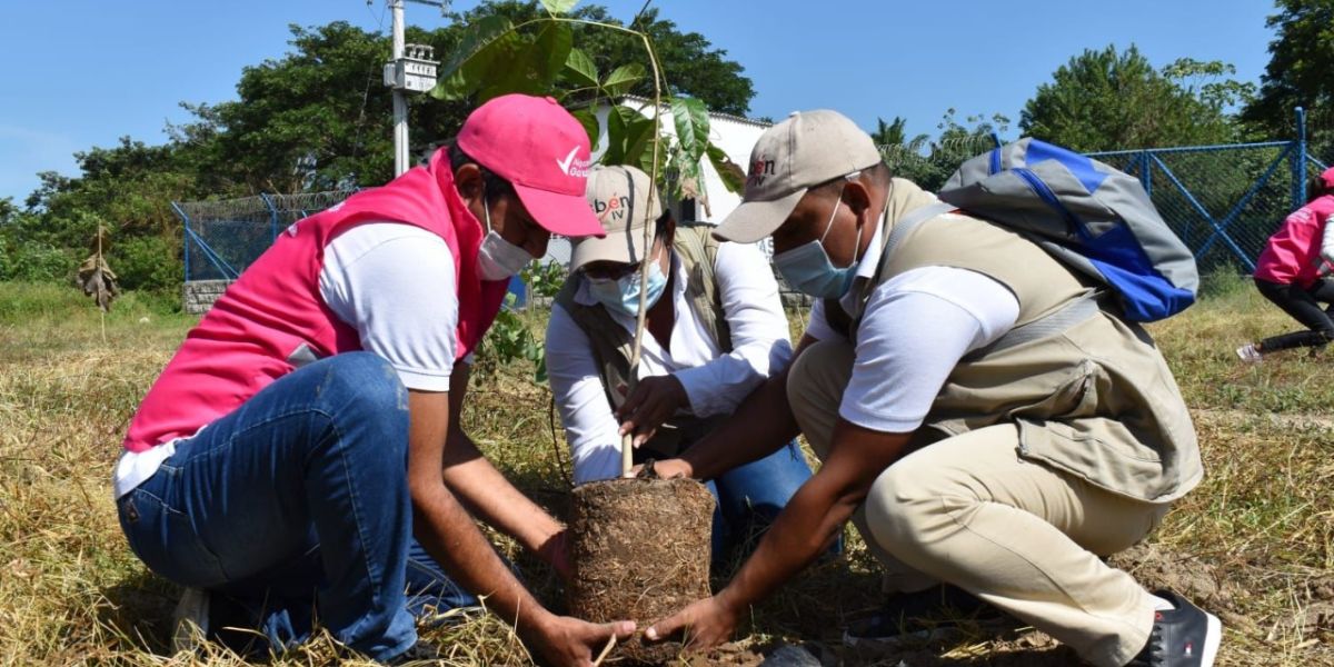 Corpamag participa en la sembratón nacional.