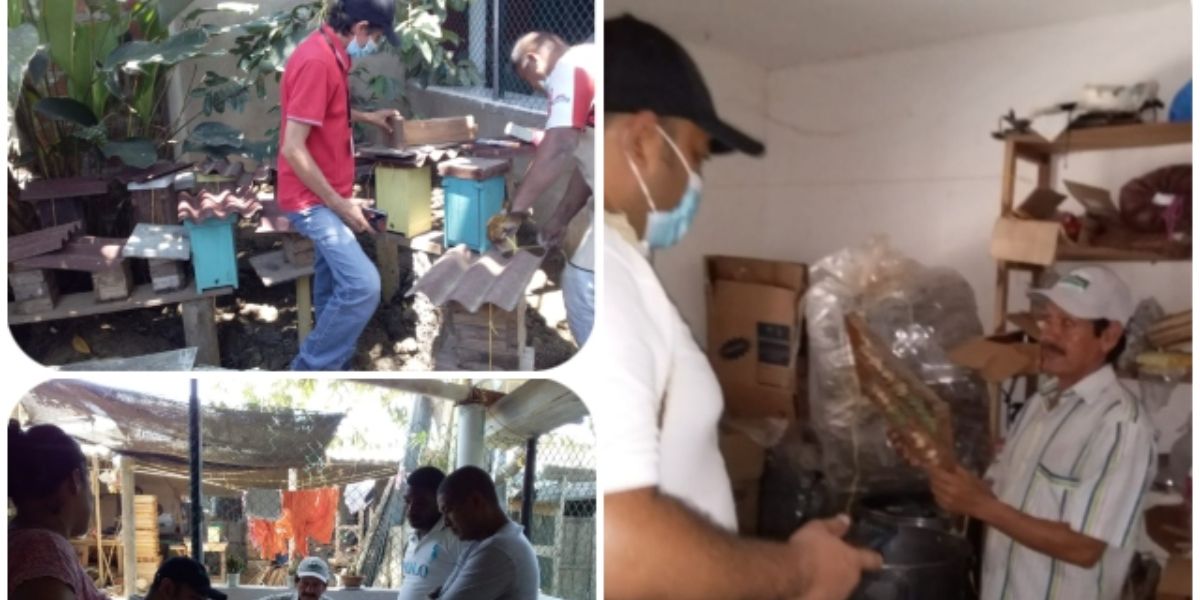 El ICA visita productores y comercializadores de insumos apícolas en Magdalena.