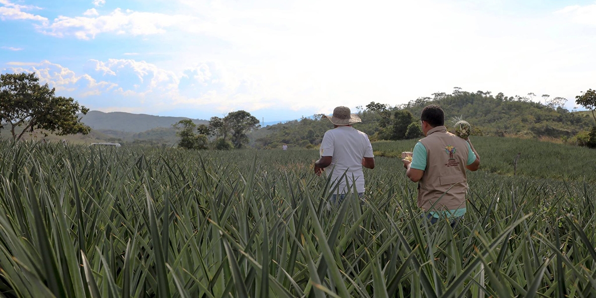 Internet La Unidad de Restitución de Tierras busca hacer presencia en todo el territorio nacional.