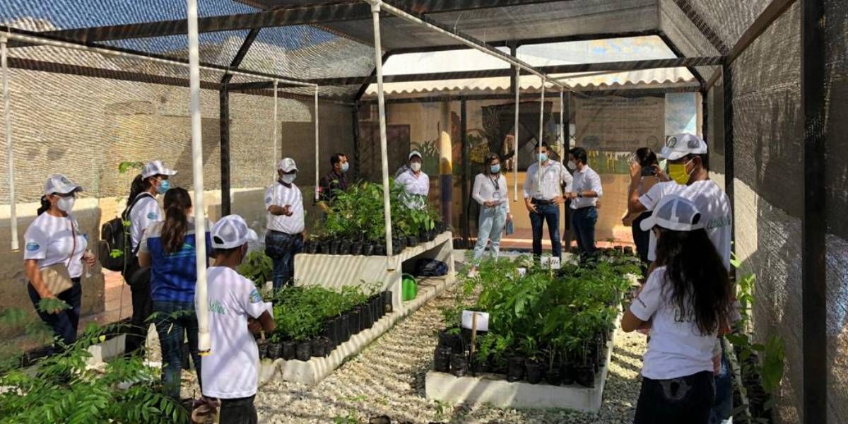Entrega de vivero bioclimático en la IED INEM Simón Bolívar de Santa Marta cortesía