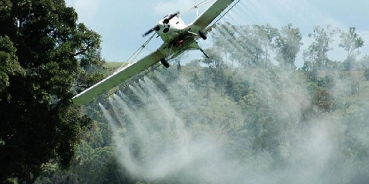 Fumigación con glifosato.