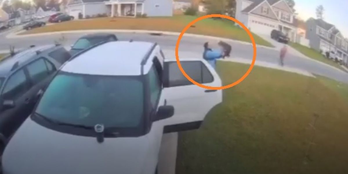 TMZ Momento en que un hombre defendía a su esposa del ataque de un tigrillo.