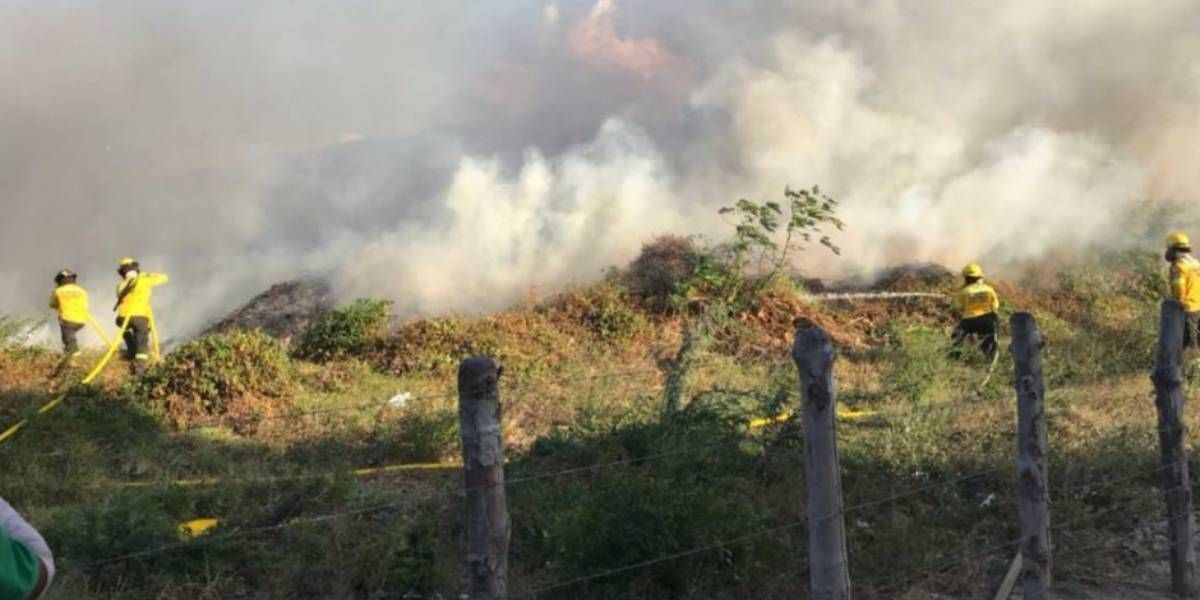 Archivo Incendio de cobertura vegetal en Santa Marta.