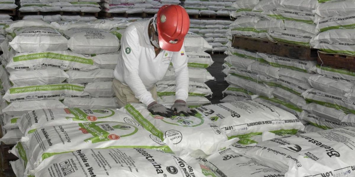 ICBF Imagen de referencia.