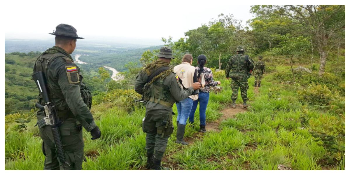 Estudio de Uniandes muestra que política de restitución de tierras redujo la violencia y mejora las condiciones de seguridad de los territorios.