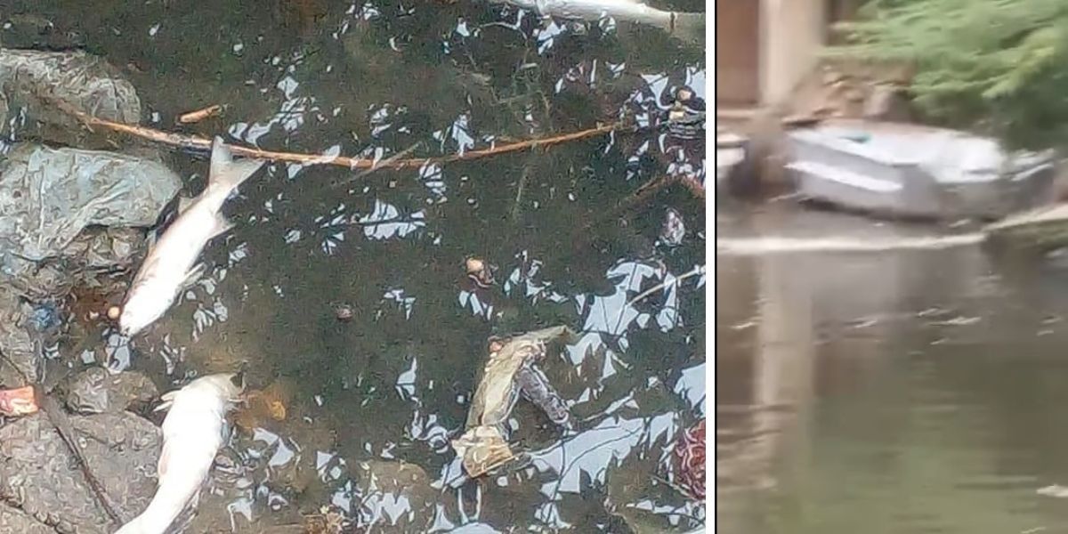 Río Manzanares. Vertimiento de aguas negras en el río Manzanares.