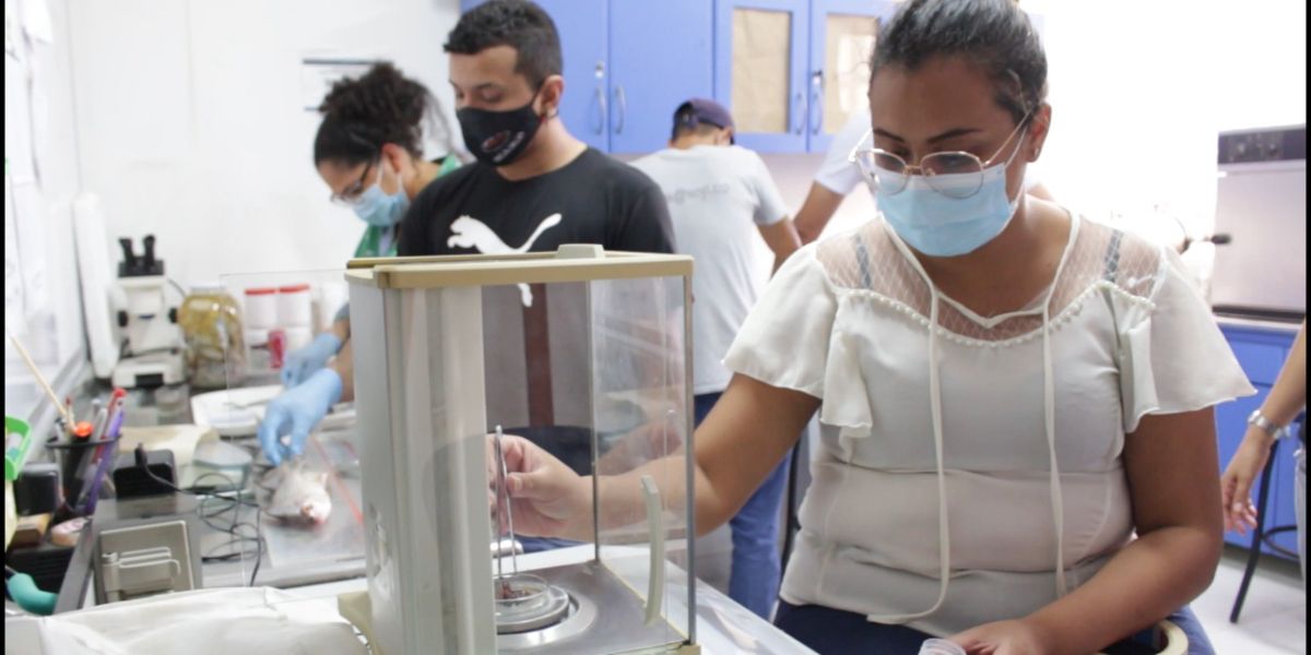 Unimagdalena UNimagdalena es socia de la Cátedra Unesco para el Análisis Integrado de Sistemas Marinos.