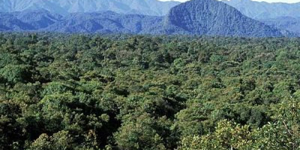 Por la cero deforestación, Fedepalma y la Fundación para la Conservación y el Desarrollo Sostenible firman convenio de cooperación. 