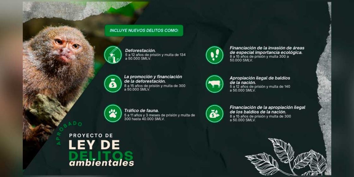 Presidencia Los responsables de crímenes contra el medio ambiente no podrán constituir personerías jurídicas.